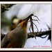 Raul Palos Photo 11