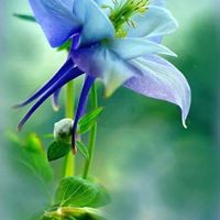 Debra Dunlap Photo 16
