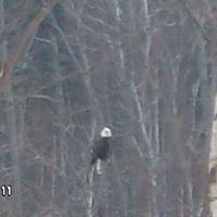 Michael Musselman Photo 12