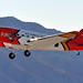 Douglas Forrest Photo 12