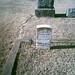 Thomas Morris Photo 18