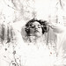 Frances Purdy Photo 7
