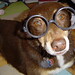 Harry Shepherd Photo 16