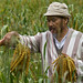 David Millet Photo 24