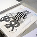 Jeffrey Isaacs Photo 27