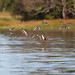 Richard Colvert Photo 10