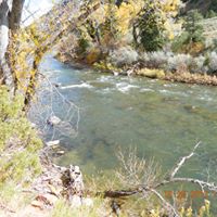 John Robison Photo 46