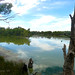 Murray Darling Photo 6