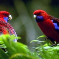 Jannatul Chowdhury Photo 3