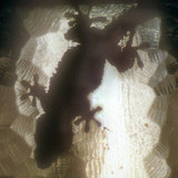 Martin Kramer Photo 43