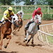 Anthony Downs Photo 17