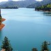 Debra Lewis Photo 35