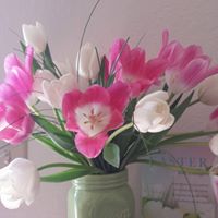 Debra Erickson Photo 10