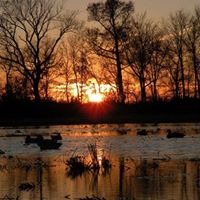 John Winstead Photo 18