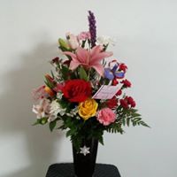 Lisa Lapointe Photo 5