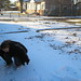Ann Crouch Photo 15