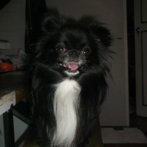 Doreen Wilson Photo 31