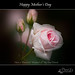 Linda Phan Photo 35