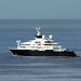 Paul Allen Photo 11