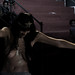 Patricia Roderick Photo 17