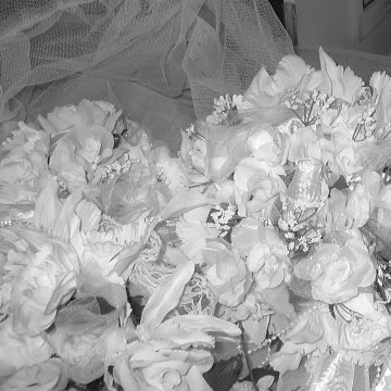 Julia Scott Photo 15