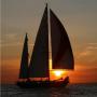John Laing Photo 47