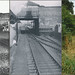 Rodger Stafford Photo 2