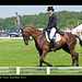 Mark Todd Photo 8