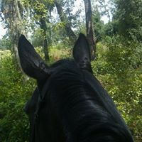 Kimberly Frizzell Photo 19