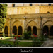 Carol Barbera Photo 8