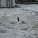 Bobbie Fort Photo 8