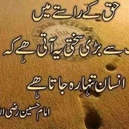 Muhammad Hussain Photo 33