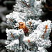 Janet Frost Photo 12
