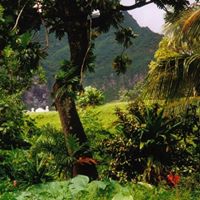 Archana Acharya Photo 6