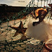 Marie Nass Photo 3