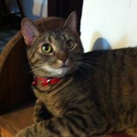 Darlene Wheeler Photo 27