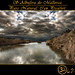 Dan Forman Photo 10