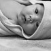 Joshua Weeks Photo 42