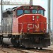 Robert Diesel Photo 16