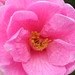 Philip Spring Photo 3
