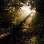Mark Gast Photo 16