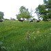 Michael Orchard Photo 28