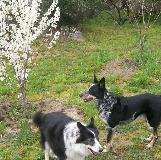 Cynthia Macdonald Photo 14