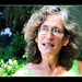 David Friedman Photo 44