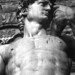 David Perfetto Photo 16