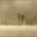 Dawn Carson Photo 32