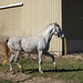 Tracy Mcewan Photo 7