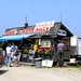 Cindy Gray Photo 8