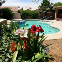 Nancy Gooding Photo 18