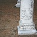 Elizabeth Sharpe Photo 17